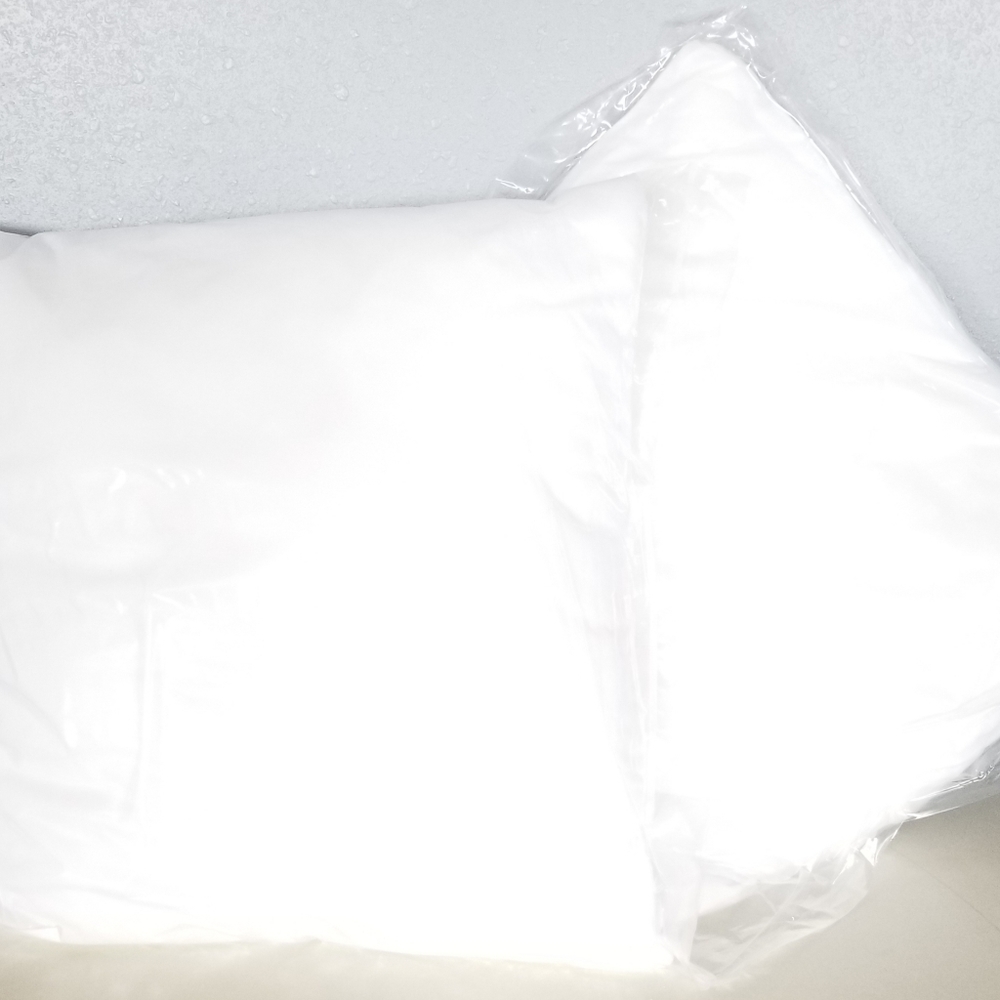 2 pack Anaya Pillow Insert 20"×20"Poly cover poly